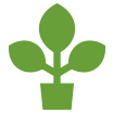 Pellets aus Biomassezum Heizen